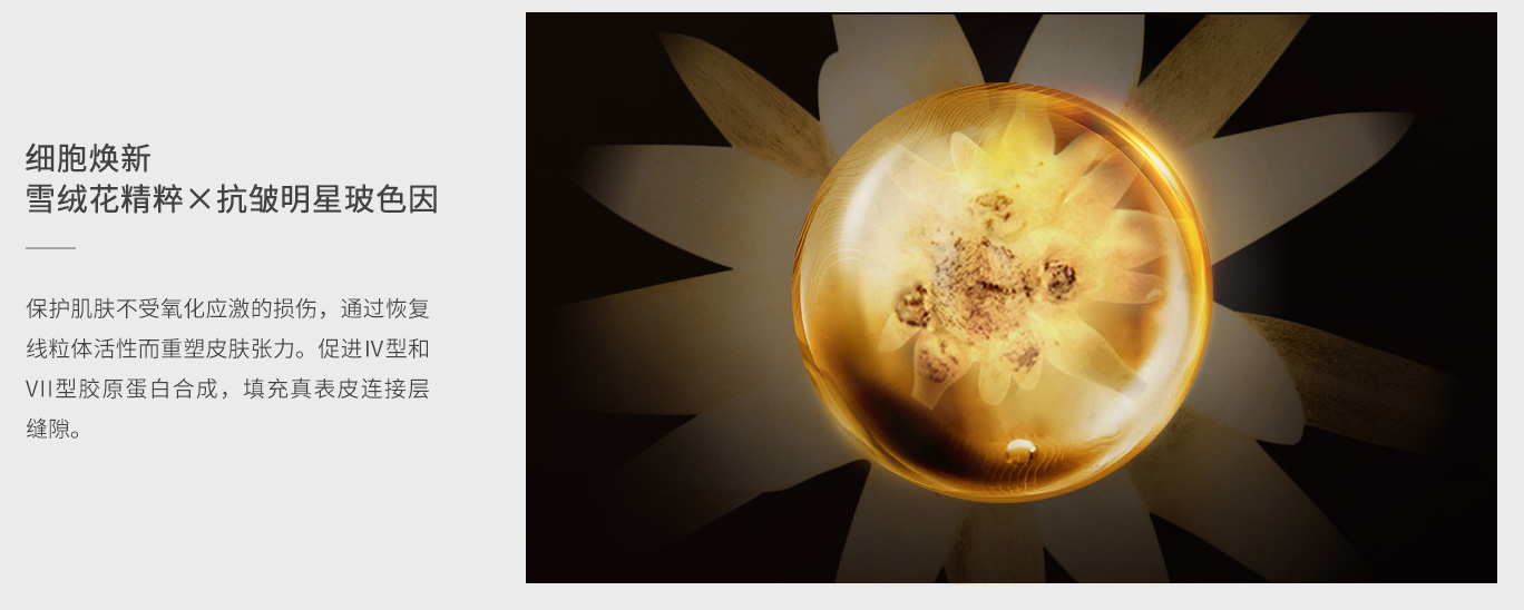 1732695694313878.jpg 6_01.jpg