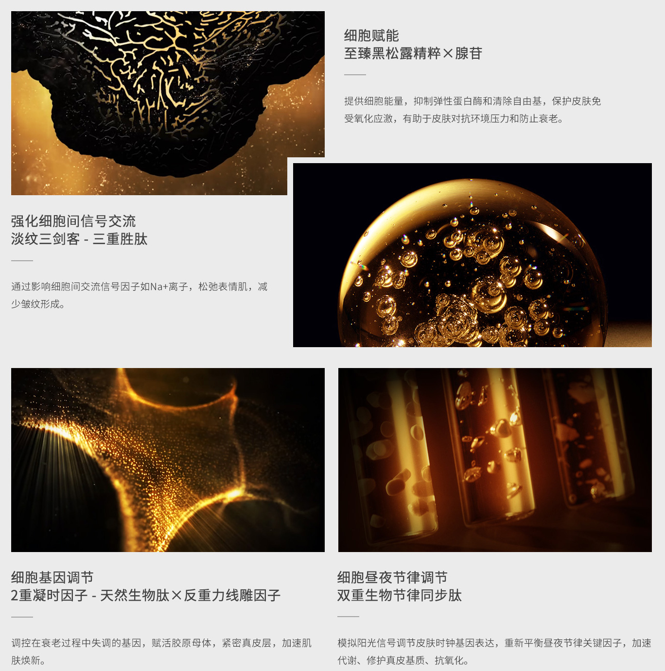 1732695699776947.jpg 6_02.jpg